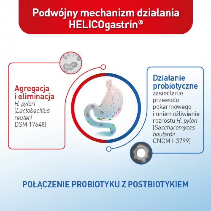 Zdjęcie produktu - 3 Zestaw HELICOGASTRIN, 2x14kaps.