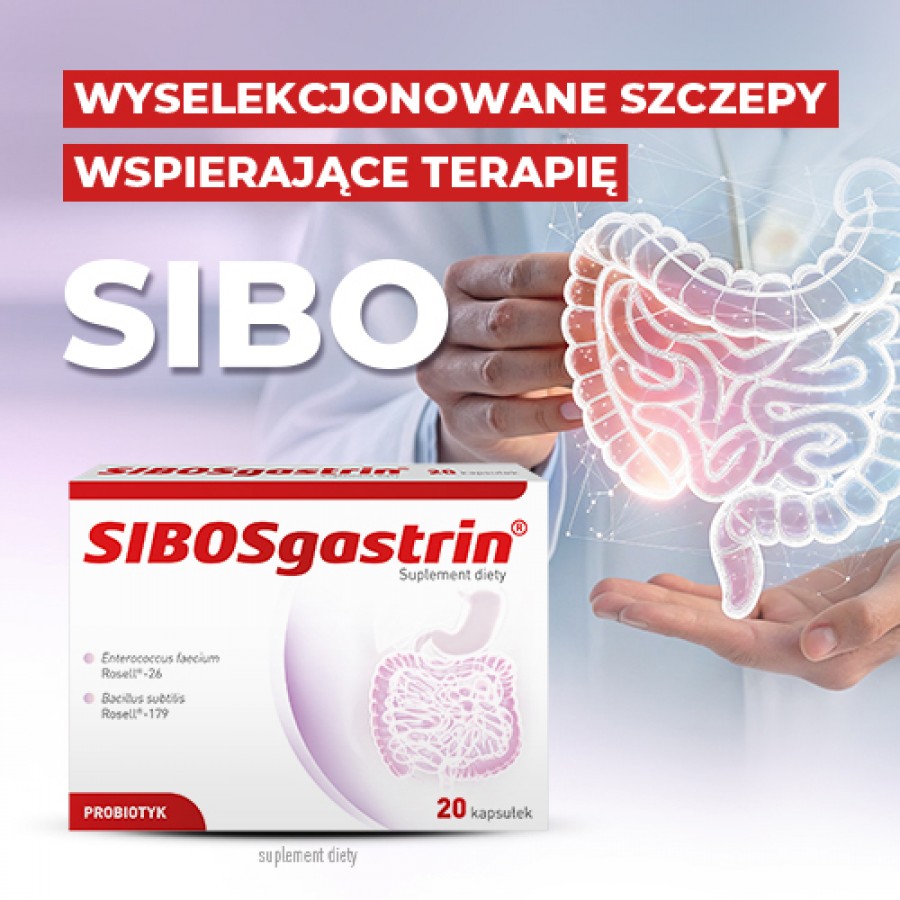 Miniaturka artykułu - #0 SIBOSgastrin probiotyk, 20 kaps.