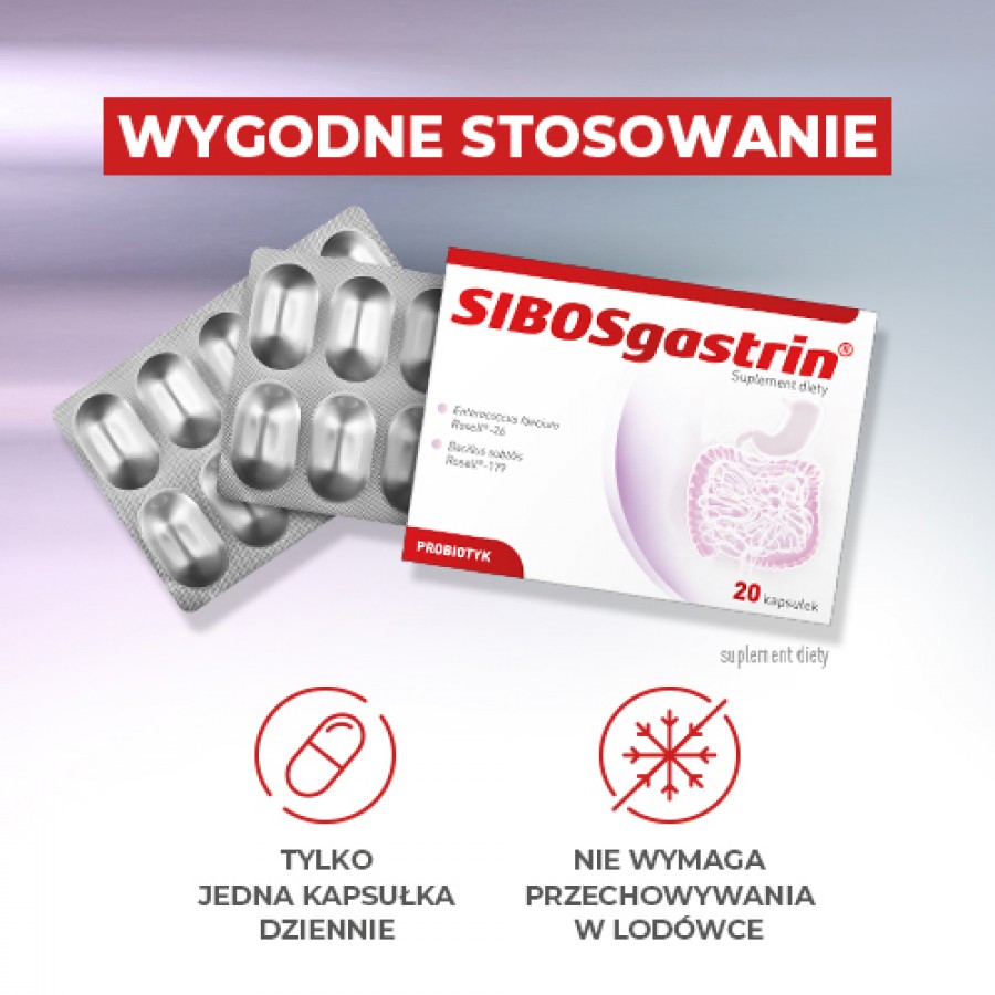 Zdjęcie produktu - 4 SIBOSgastrin probiotyk, 20 kaps.