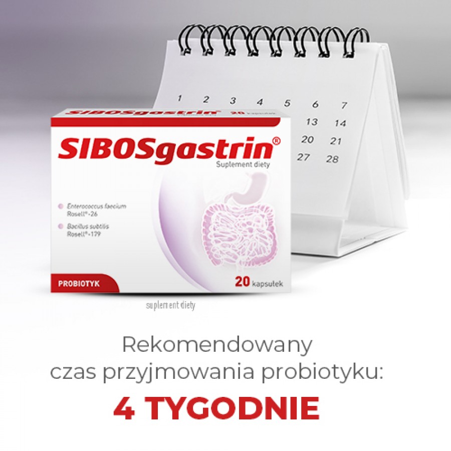 Zdjęcie produktu - 5 SIBOSgastrin probiotyk, 20 kaps.