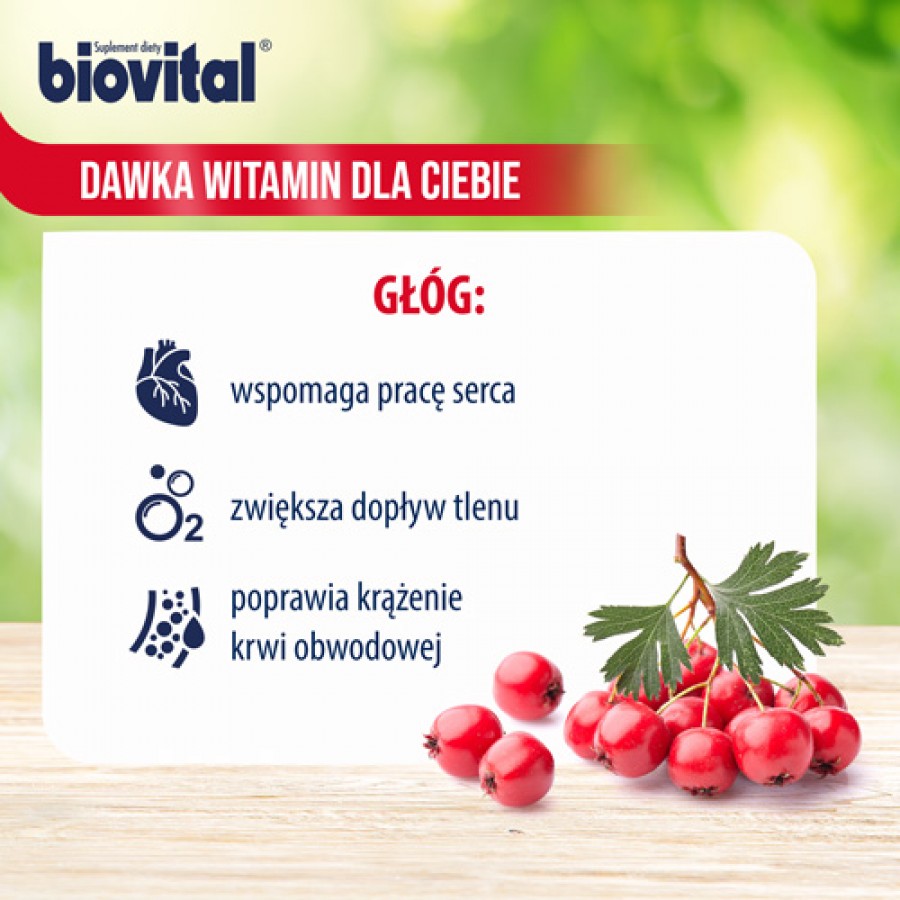 Miniaturka artykułu - #1 Dwupak Biovital Zdrowie Plus, 2 x 1 L 