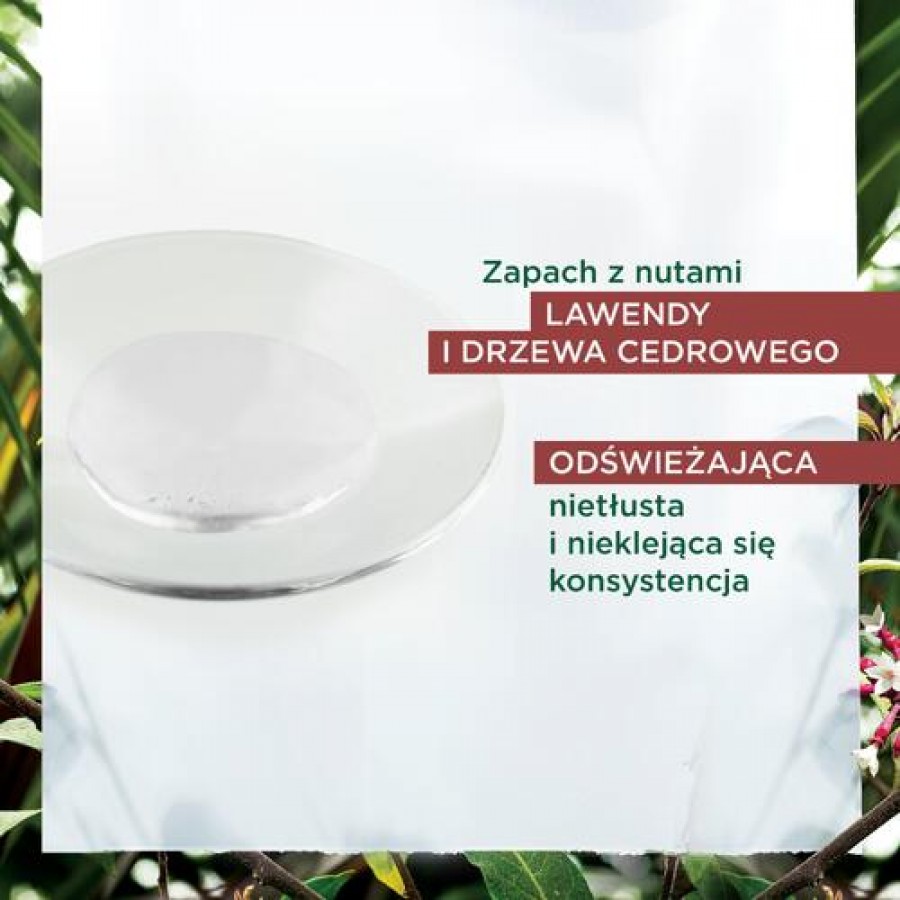 Zdjęcie produktu - 2 KLORANE Serum przeciw wypadaniu włos&oacute;w z chininą i organiczną szarotką, 100ml