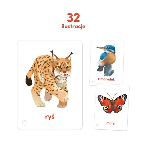 Miniaturka artykułu - #1 CzuCzu Karty obrazkowe na sznureczku. Zwierzęta dla dzieci 2+	