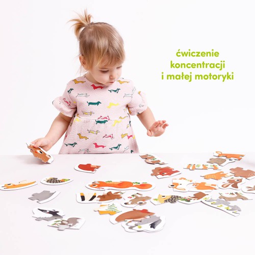 Zdjęcie produktu - 3 CzuCzu Puzzle progresywne. Zwierzątka w lesie dla dzieci 2+