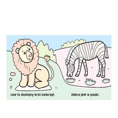 Miniaturka artykułu - #0 AKSJOMAT Czarodziejski pędzelek. W zoo. Malowanka wodna	