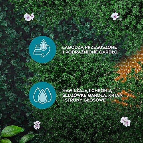 Zdjęcie produktu - 4 Amolowe Na gardło ziołowe pastylki do ssania, 16 szt.