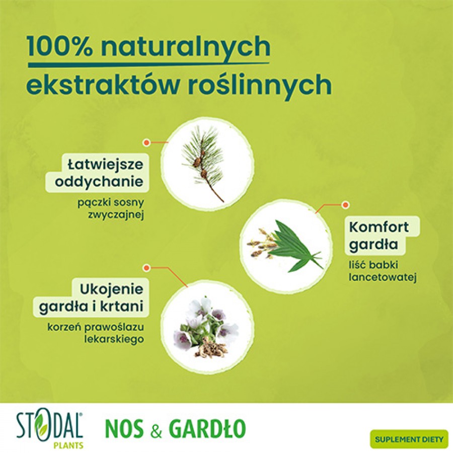 Zdjęcie produktu - 4 Stodal Plants Nos & Gardło, 150 ml