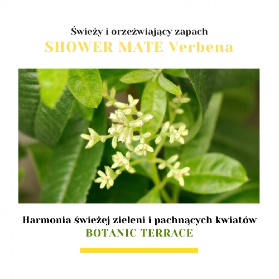 Miniaturka artykułu - #1 Aekyung Shower Mate Botanic Żel pod prysznic Verbena, 1,2 l