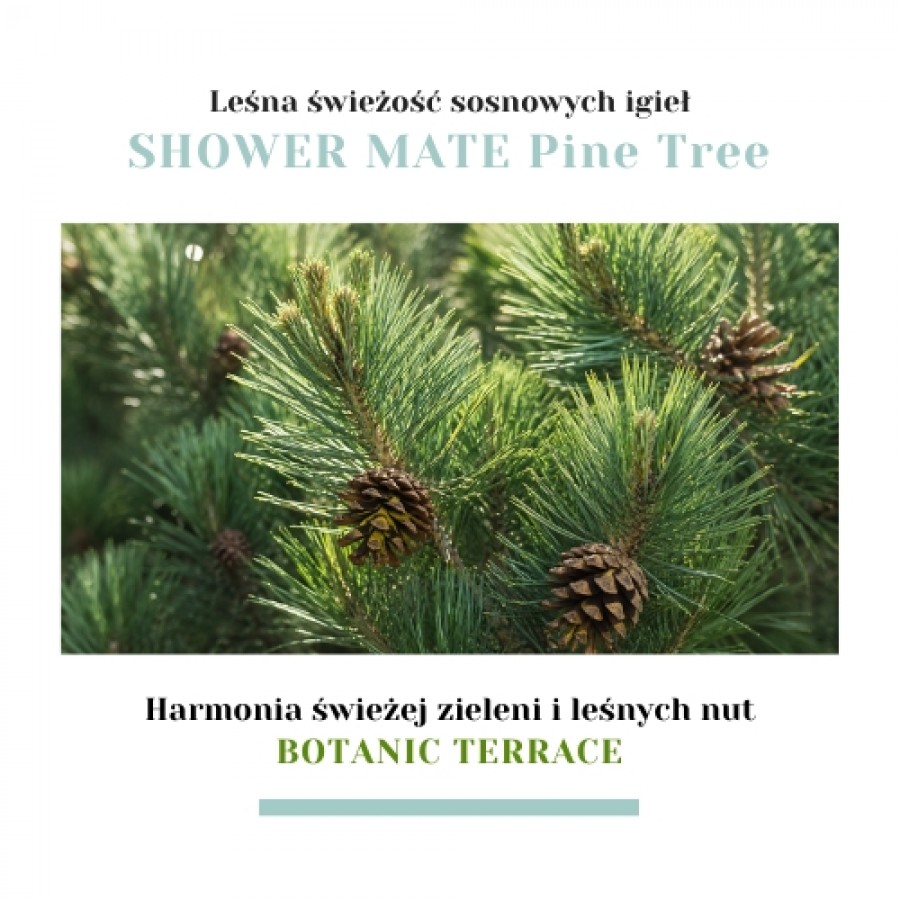 Miniaturka artykułu - #1 Aekyung Showermate Botanic Pine Tree Żel pod prysznic, 1,2 l