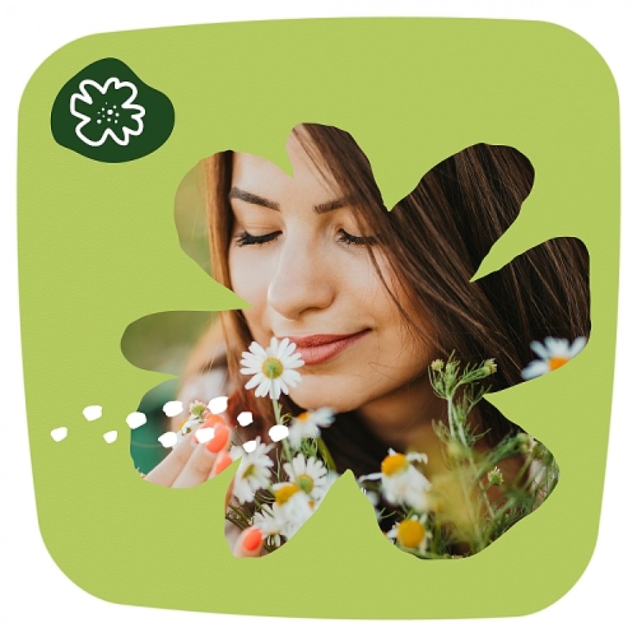 Zdjęcie produktu - 5 Naturella Wkładki higieniczne Light, 100 szt.