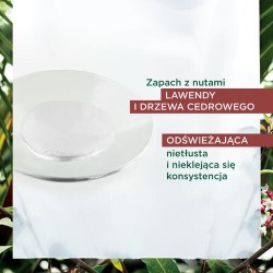Zdjęcie produktu - #2 KLORANE Serum przeciw wypadaniu włos&oacute;w z chininą i organiczną szarotką, 100ml