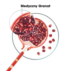 Zdjęcie produktu - #3 KLORANE Szampon z granatem, 400ml