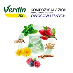 Zdjęcie produktu - #2 Verdin Fix z owocami leśnymi, 20sasz.