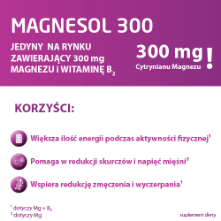 Zdjęcie produktu - #1 Magnesol 300, 20 saszetek