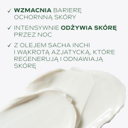 Zdjęcie produktu - #0 WELEDA Skin Food Odżywczy krem na noc, 40ml