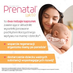 Zdjęcie produktu - #1 Prenatal Lakto: 30 kapsułek Prenatal Lakto 1 + 30 kapsułek Prenatal Lakto 2