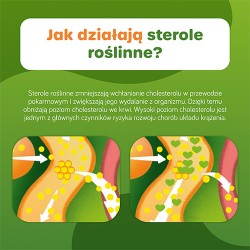 Zdjęcie produktu - #3 Danacol Plus, 21 saszetek x 15 ml