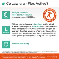 Zdjęcie produktu - #3 4Flex Active, 30 sasz.