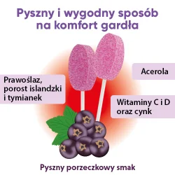 Miniaturka artykułu - #0 Zdrowy Lizak MNIAM-MNIAM Gardło, krtań i struny głosowe o smaku czarnej porzeczki, 1szt.