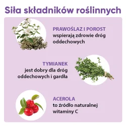 Miniaturka artykułu - #1 Zdrowy Lizak MNIAM-MNIAM Gardło, krtań i struny głosowe o smaku czarnej porzeczki, 1szt.