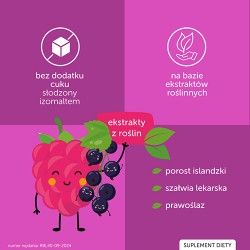 Zdjęcie produktu - #1 JUSTVIT Lizak na gardło o smaku malinowo-porzeczkowym, 1 szt.