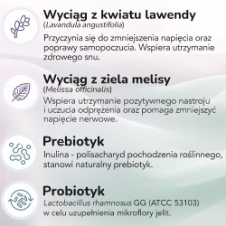 Zdjęcie produktu - #2 Aflofarm ProbioCalm Probiotyk, 30 tabl.