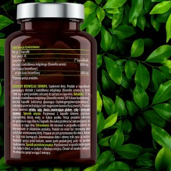 Zdjęcie produktu - #4 Essensey Boswellia serrata, 90 kaps.
