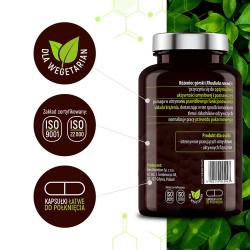 Zdjęcie produktu - #1 Essensey R&oacute;żeniec g&oacute;rski, 90 kaps.