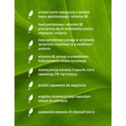 Zdjęcie produktu - #3 Essensey Kreatyna Monohydrat + B5, B6, 90 kaps.