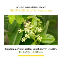 Zdjęcie produktu - #1 Aekyung Shower Mate Botanic Żel pod prysznic Verbena, 1,2 l