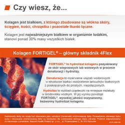 Zdjęcie produktu - #2 4Flex, 30 sasz. - kolagen w proszku