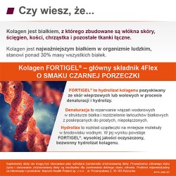 Zdjęcie produktu - #1 4Flex Kolagen o smaku czarnej porzeczki, 30 sasz.