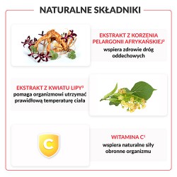 Zdjęcie produktu - #1 Pelavo Multi 6+ Drogi oddechowe (dawniej przeziębienie i grypa), 120ml