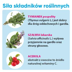 Miniaturka artykułu - #1 Zdrowy Lizak Mniam-Mniam na gardło malina kształt łezki 1 szt, 6g