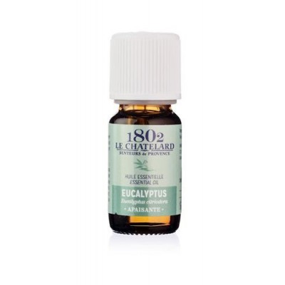 Miniaturka artykułu - Olejek eteryczny EUKALIPTUS - 10ml