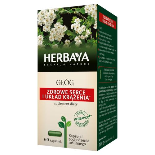 Miniaturka artykułu - HERBAYA Gł&oacute;g- 60 kaps.