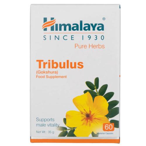 Miniaturka artykułu - Himalaya Tribulus, 60 kapsułek