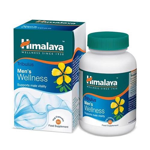 HIMALAYA Wellness Tribulus - 60 kapsułek