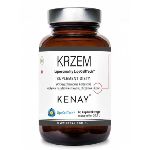Miniaturka artykułu - Kenay Krzem liposomalny LipoCellTech, 60 kaps.