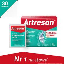 Artresan proszek 30 sasz. 