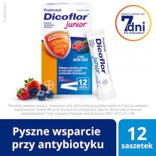 Dicoflor Junior Owoce leśne, 12 sasz.