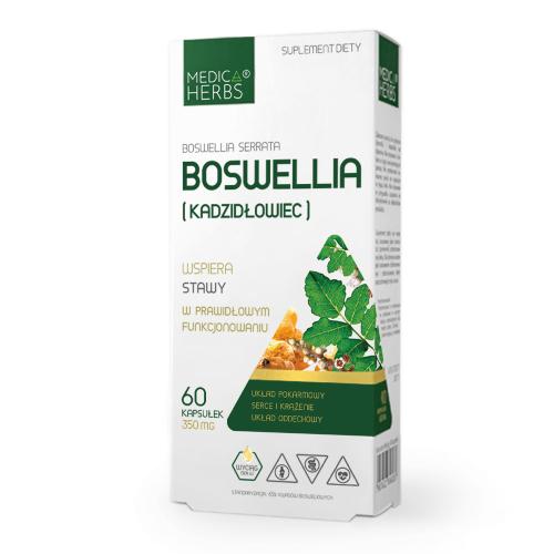 Miniaturka artykułu - Medica Herbs Boswellia (Kadzidłowiec) 350 mg, 60 kaps.