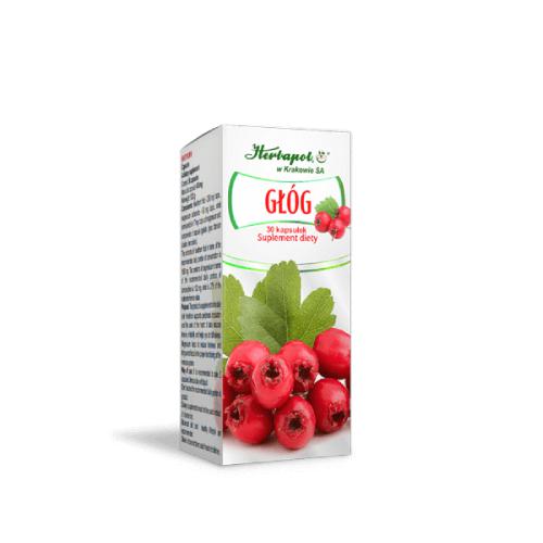 Zdjęcie produktu - HERBAPOL Gł&oacute;g, 30kaps.