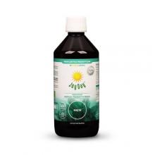 JOY DAY Koncentrat napoju probiotycznego mięta, 500 ml