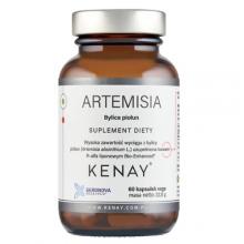 Zdjęcie produktu - Kenay Artemisia Bylica piołun, 60 kaps.