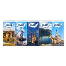 Zdjęcie produktu - Mola Chusteczki higieniczne Miasta 10 x 10 szt.