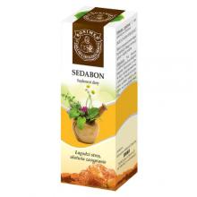 Zdjęcie produktu - Sedabon Syrop ziołowy, 100ml