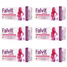 Zestaw 6 x FALVIT mama, 60tabletek