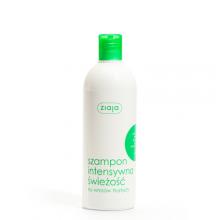 Zdjęcie produktu - ZIAJA Szampon do włos&oacute;w z miętą, 400ml
