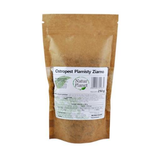 Miniaturka artykułu - NaturPlanet Ostropest Plamisty Ziarno - 250g